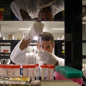 Nathan Spann tests samples in SDSU Biology Prof. Roger Davis' lab.