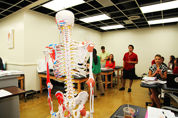 The three-year Doctor of Physcial Therapy program includes instruction, anatomy coursework, clinical laboratory experiences and clinical clerkships and internships.