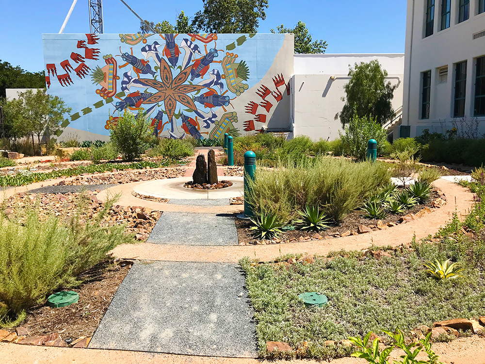 SDSU's Native and Indigenous Healing Garden