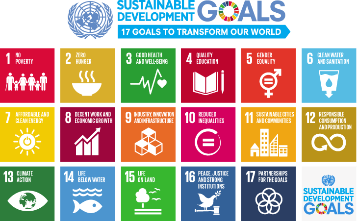 The UN's Sustainable Development Goals