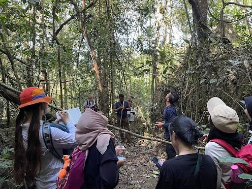 Students working in Indonesian rainforest