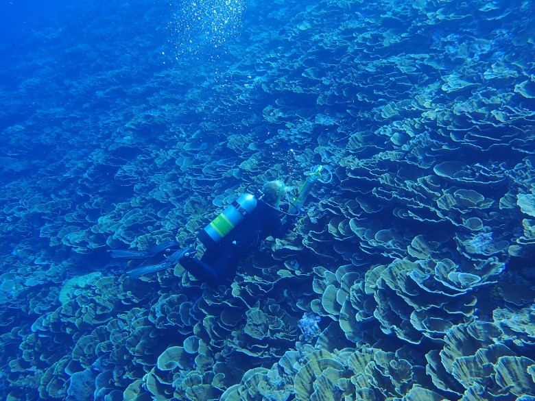 A diver collects water samples along a coral reef in the Line Islands south of Hawaii