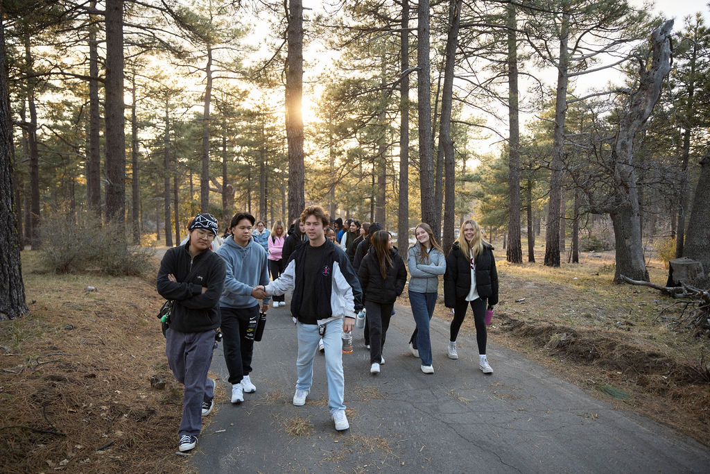 Image of a group of students walking through a forest 