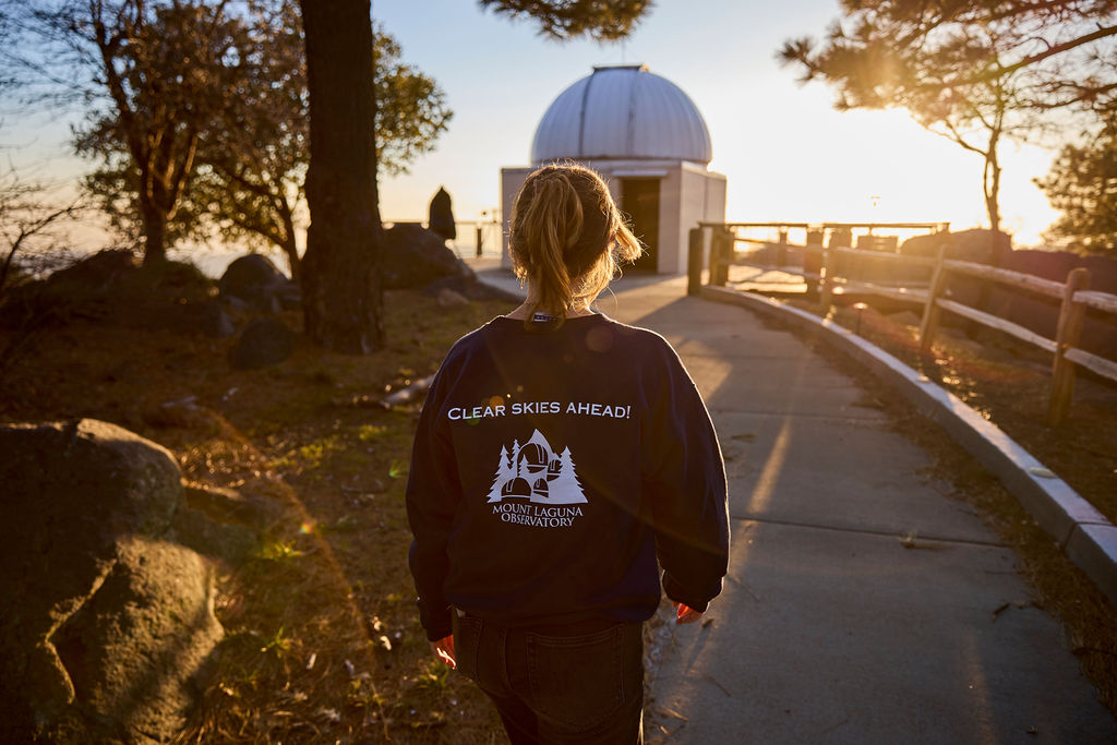 Image of a person with their back turned facing the observatory.