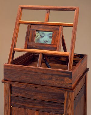 Maruyama’s work ‘Vanity’ with video