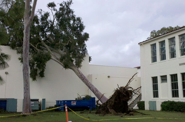 News Story Image