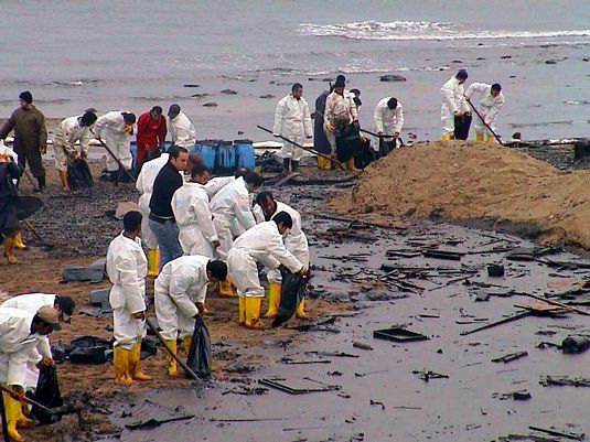 The Gulf Coast oil spill has reached the coast line.