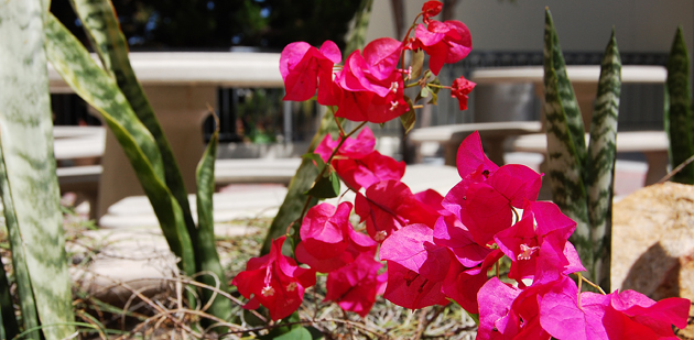 A tranquil corner of campus, between the Engineering and Life Sciences North buildings, was dedicated in 2003 to the memory of the engineering professors.