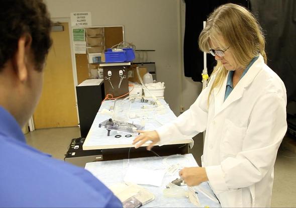 Karen May-Newman, professor of mechanical engineering, founded SDSU's bioengineering program in 1998.