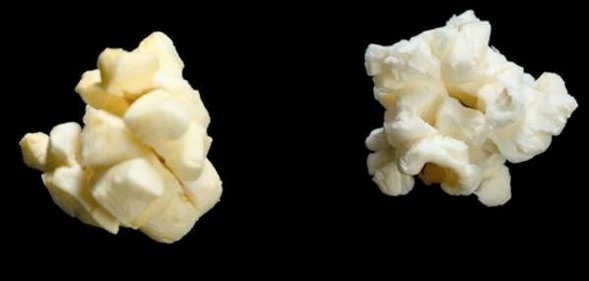 The molecule diacetyl is what makes microwave popcorn taste buttery.