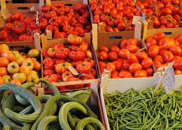 Geography of Food exposes students to how geography plays a role in our food system.