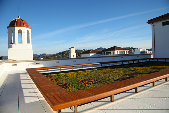 The green roof atop the Conrad Prebys Aztec Student Union reduces heat and promotes a natural habitat.