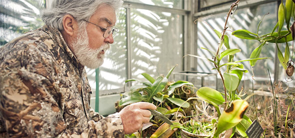Bob Mangan tends to the SDSU Greenhouse.