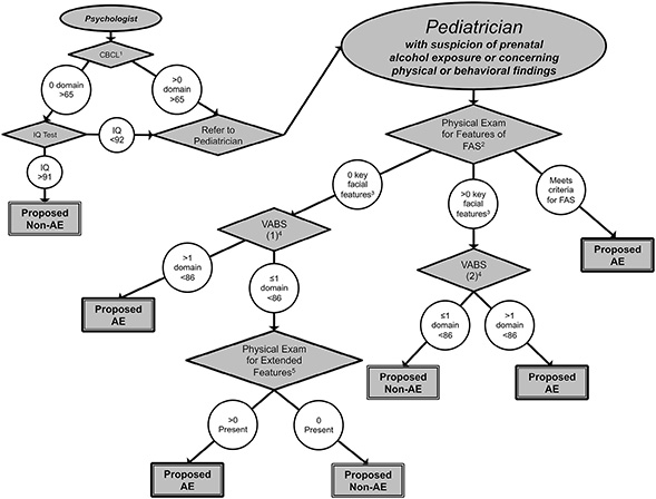 SDSU researcher Sarah Mattson's decision tree is based on behavior ratings, IQ testing and physical measurements. (Credit: Sarah Mattson)