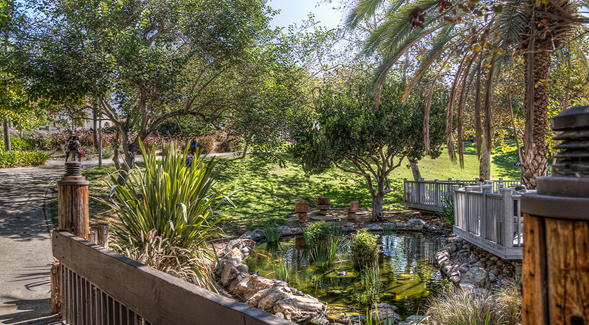Turtle Pond next to Scripps Cottage (Photo: Jim Brady)