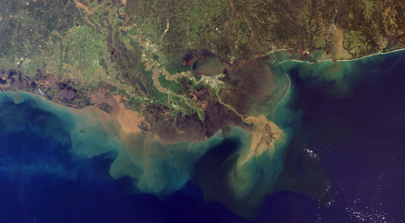 Mississippi River Delta (Credit: NASA)