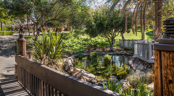 Turtle Pond next to Scripps Cottage (Photo: Jim Brady)