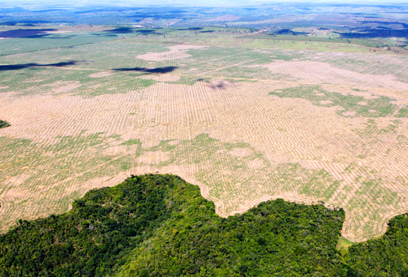 Desforestation in the Amazonian state of Maranho
