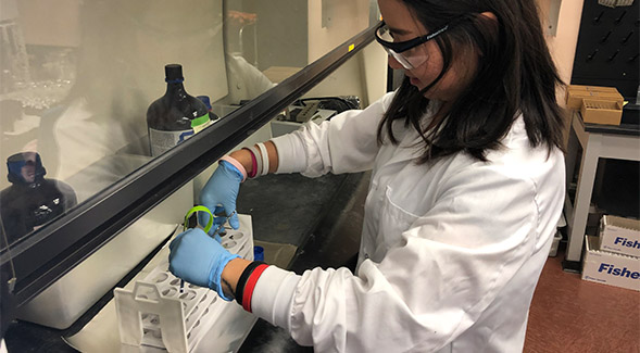 Research assistant Linda Chu extracts green wristband similar to ones used in study.