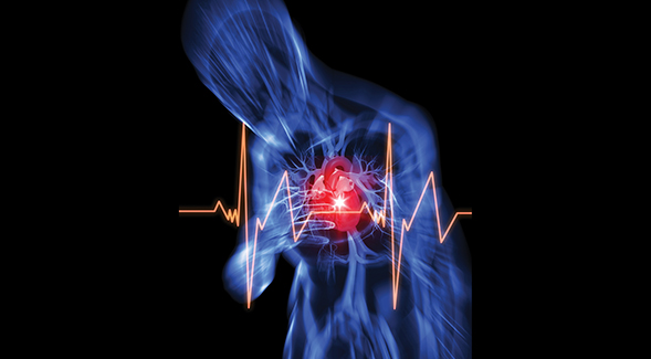 The SDSU Heart Institute, led by Chris Glembotski, is working toward a possible drug treatment for heart attacks.