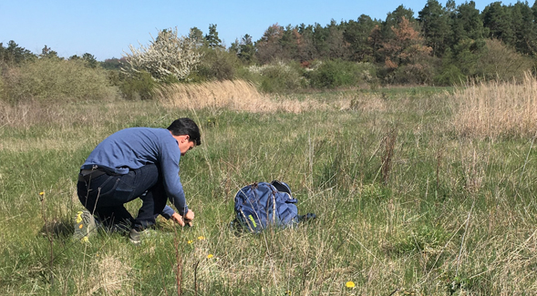 Biologist Nick Barber spent the sping and summer in Germany, studying the proliferation of predatory beetles in grasslands.