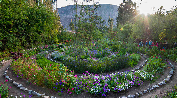 Vision for SDSU Native and Indigenous Healing Garden