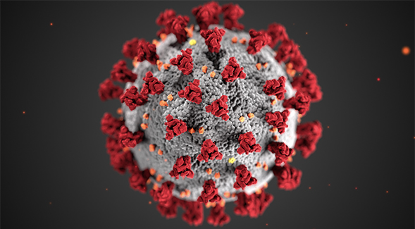 Illustration of coronavirus. Credit: Centers for Disease Control and Prevention (CDC)