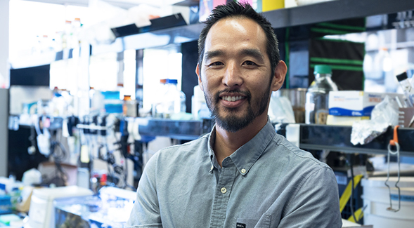 Microbiologist Nick Shikuma obtained a National Science Foundation Career Award to further advance his research on a beneficial bacterium that causes metamorphosis. Photo: Scott Hargrove