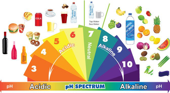 Diets higher in acidic foods such as meats and certain cheese can increase the risk for cancer survivors, especially if they smoked. Image credit: Alkalife.com.