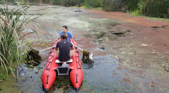 Garrett McGurk (19) and a volunteer from the San Diego River Park Foundation navigate through an algae bloom on the San Diego River. Photo: Biggs Watershed Science Lab.