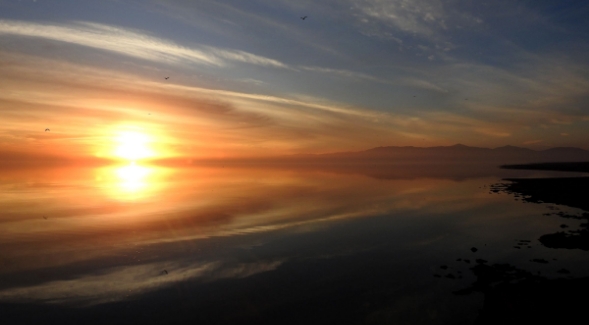Today, the Salton Sea occupies a fraction of the area once covered by Lake Cahuilla. Photo: Susanne Clara Bard.
