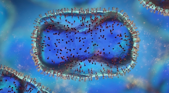 Microscopic image of Monkeypox. (Adobe Stock image)
