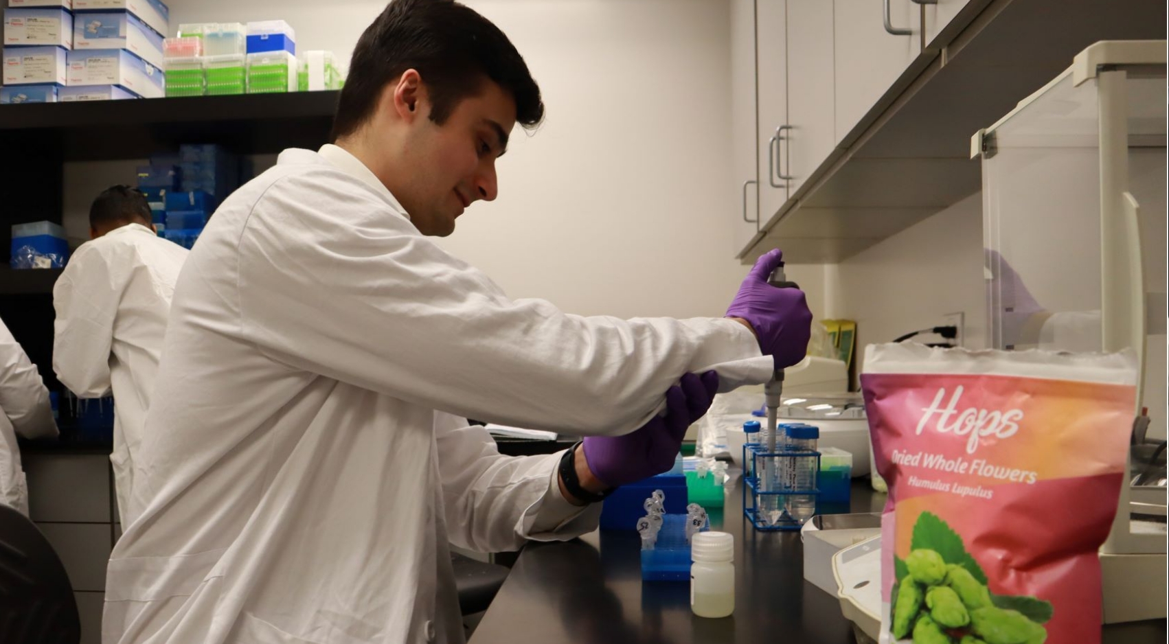Biology student Ali Shah prepares hops samples while working inside Arun Sethuraman's laboratory at SDSU.