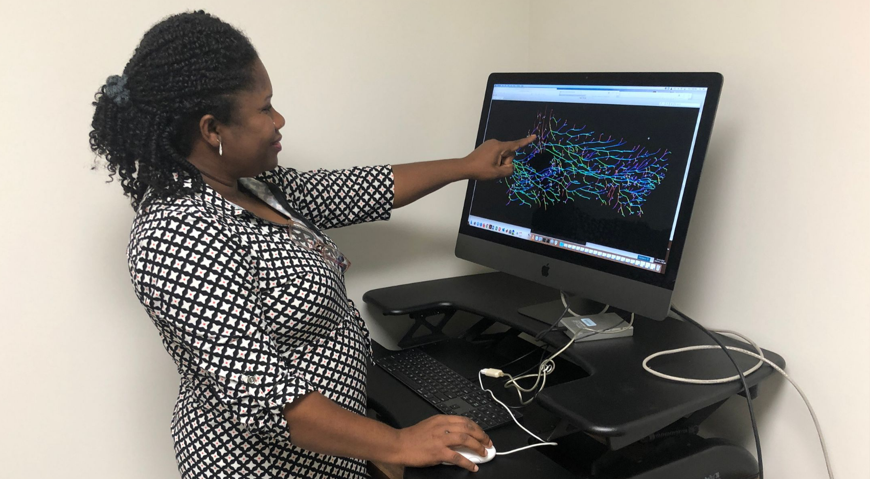 Uduak George examines a color-coded model of branching pathways within a mammary gland. (SDSU)