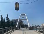 College Ave Suspension Bridge