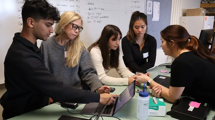 Paula Lemons assists Dishant Vandra with an experiment investigating plant response to high temperature, as Olivia Baldwin assists Alexia Carranza and Gisele Chhoeuy with the same experiment during the first week of the biotech boot camp. (Bryana Quintana/SDSU)