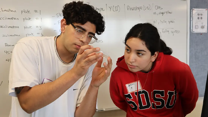 During the first week of the biotech boot camp, Adryan Aquino (left) and Arlene Alvarez conduct an experiment investigating plant response to high temperature. (Bryana Quintana/SDSU)