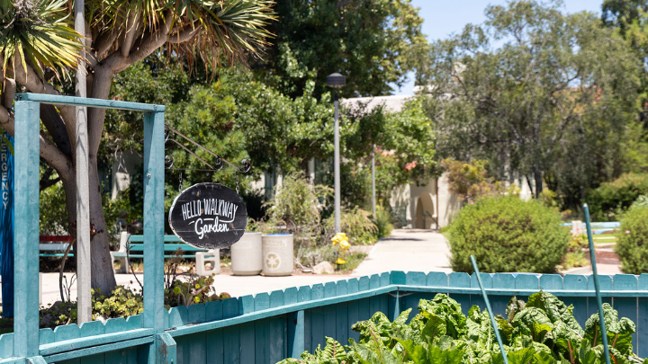 A teal colored fence encloses a large leafy vegetable with a sign reading Hello Walkway Garden. There are many trees and ladscaping alongside a walkway in the background.