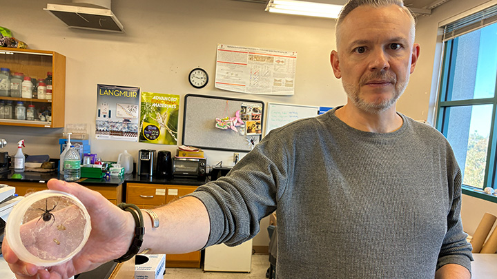 A man wearing a gray long-sleeve t-shirt stands in a lab with his right arm extended forward, holding an open plastic container with a spider in it.