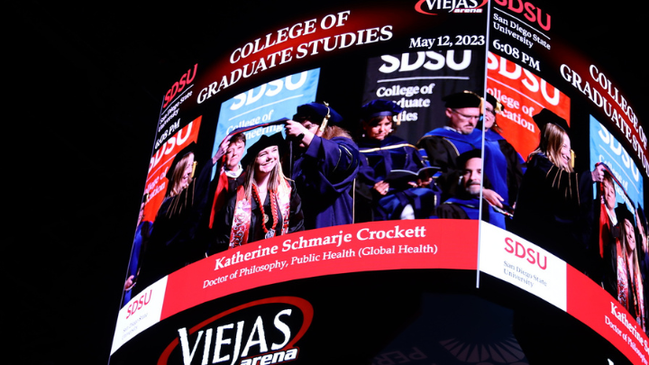 viejas big screen 